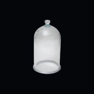 GLASS BELL JAR
